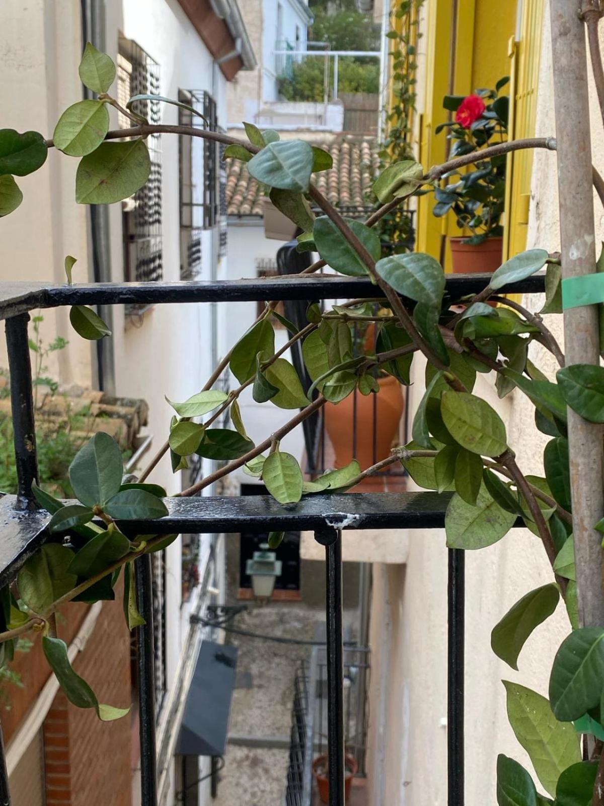 Apartamento Home Stagging New Life Granada Buitenkant foto